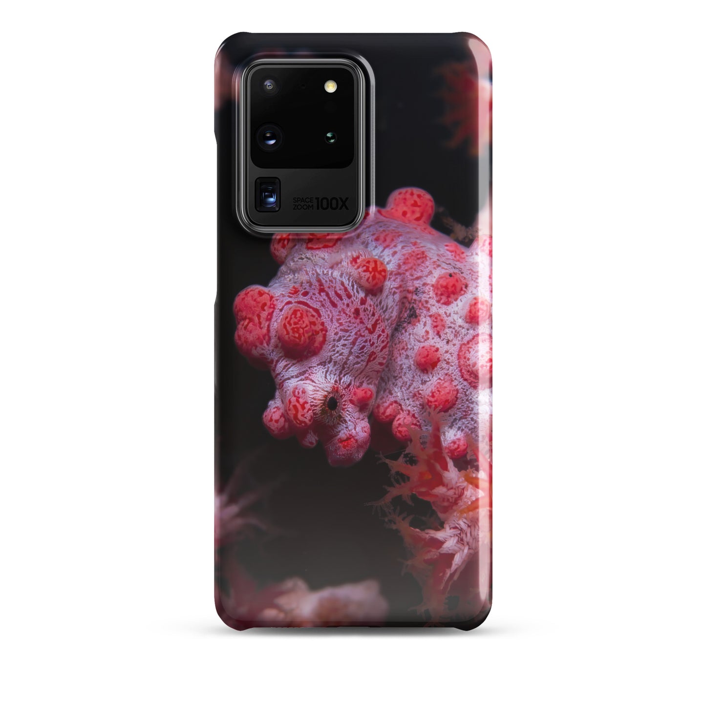 Pygmy Seahorse Snap case for Samsung®